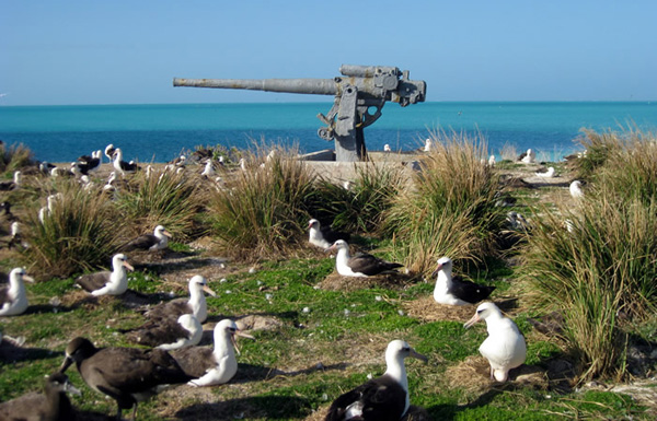 Eastern Island in the Midway Atoll