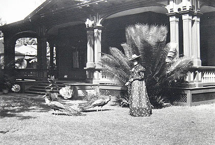 Princess Kaiulani Feeding Ainahau
	Peacocks